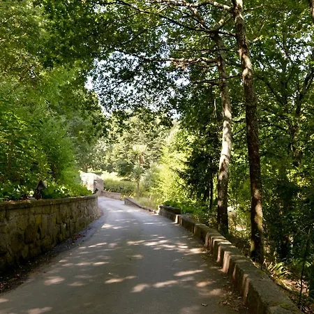 ベッド・アンド・ブレックファスト Quinta Dos Jasmins