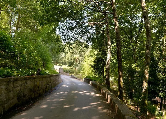 Bed & Breakfast Quinta Dos Jasmins